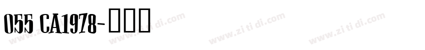 055 CA1978字体转换